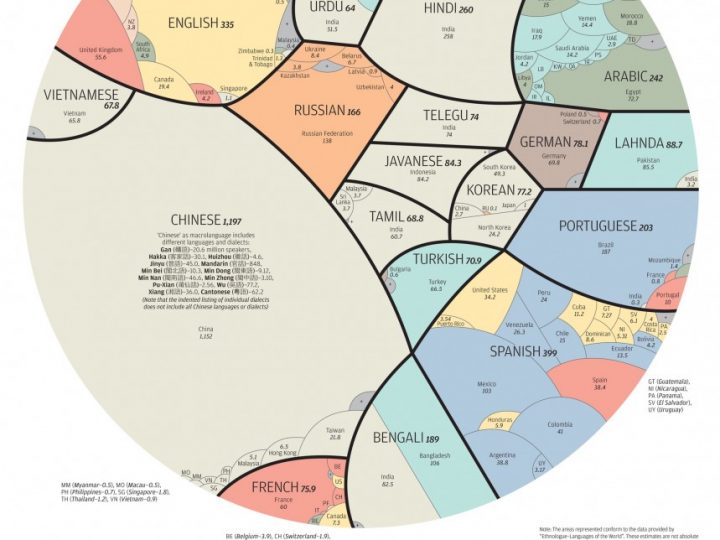 NESSUNO TI CAPISCE? PER TE I NOSTRI CORSI DI LINGUE STRANIERE!